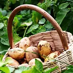 Agroturismo Il Raduno
