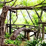 Agroturismo Il Raduno *