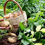 Il Raduno Agroturismo