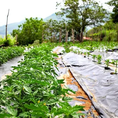 Alojamento de Turismo Rural Il Raduno Tramonti
