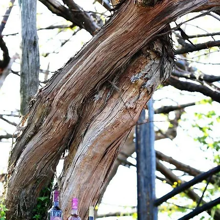 Alojamento de Turismo Rural Il Raduno *
