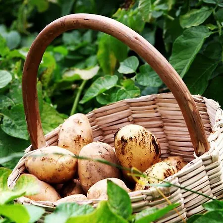 Agroturismo Il Raduno