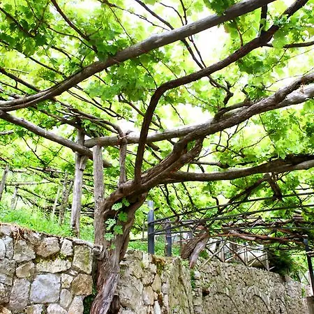 Il Raduno Agroturismo Tramonti
