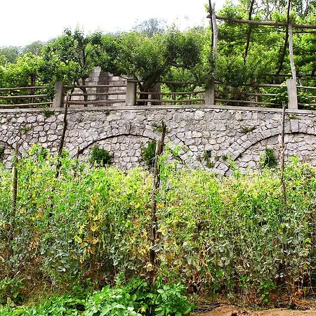 Il Raduno Agroturismo