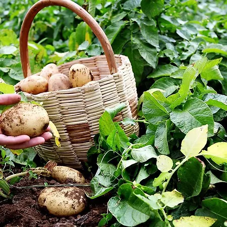Il Raduno Agroturismo