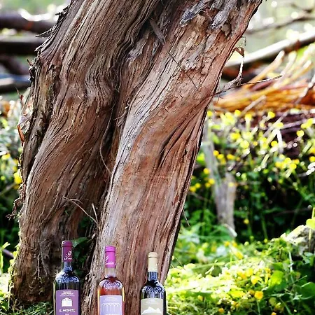 Alloggio per agriturismo Il Raduno *