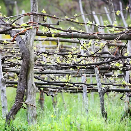 Il Raduno Alloggio per agriturismo
