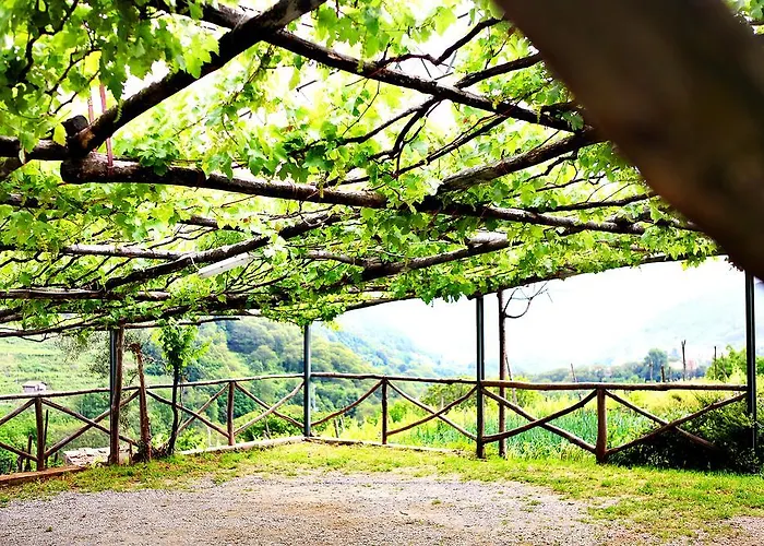 农家乐 Il Raduno *