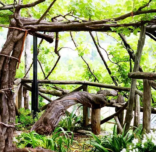 Κατάλυμα σε φάρμα Il Raduno *