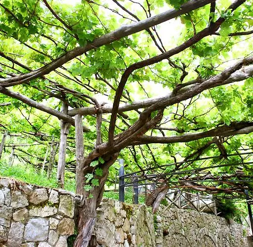 Il Raduno 农家乐 特拉蒙蒂