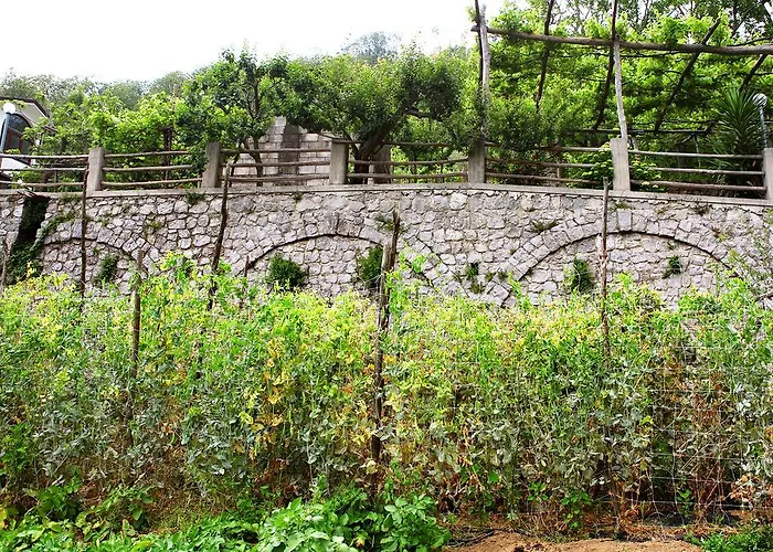 Il Raduno Κατάλυμα σε φάρμα