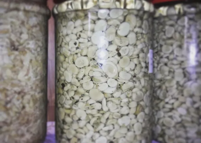 Κατάλυμα σε φάρμα Il Raduno *