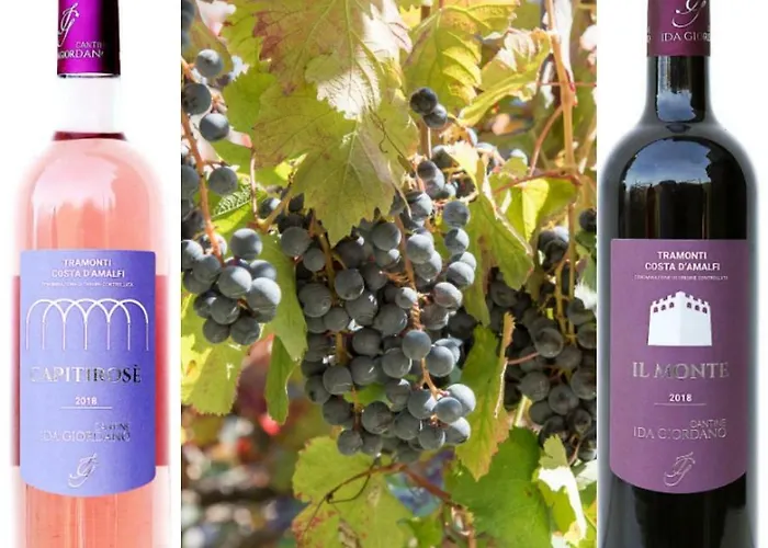 Κατάλυμα σε φάρμα Il Raduno